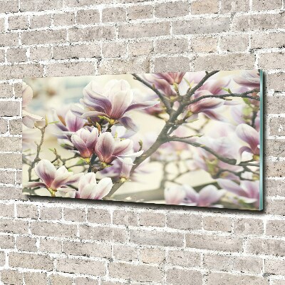 Quadro su vetro acrilico Magnolia