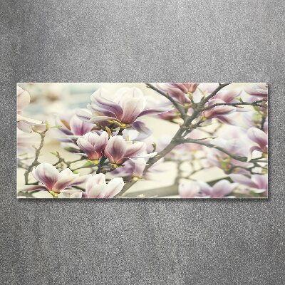 Quadro su vetro acrilico Magnolia