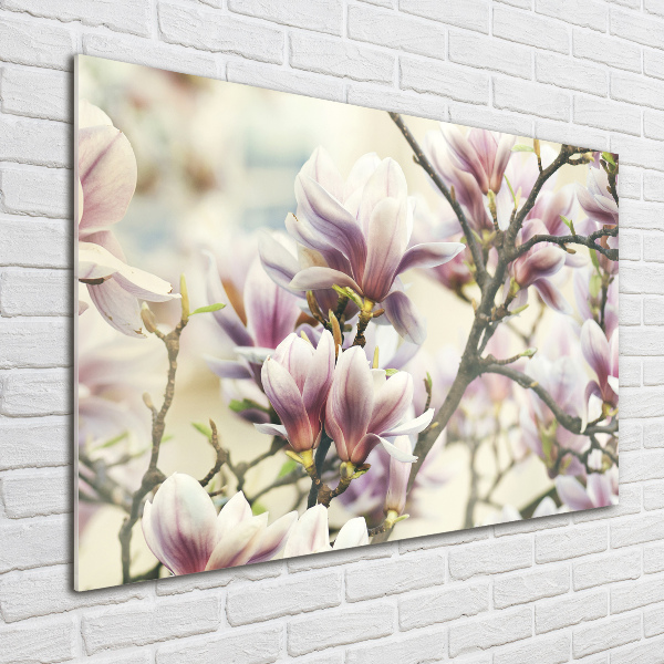 Quadro su vetro acrilico Magnolia