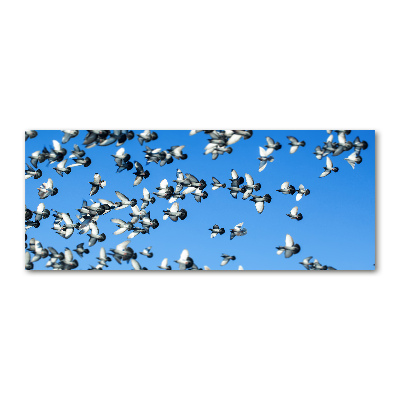 Quadro vetro acrilico Uno stormo di piccioni