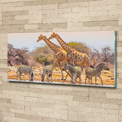 Quadro su vetro acrilico Giraffe e zebre