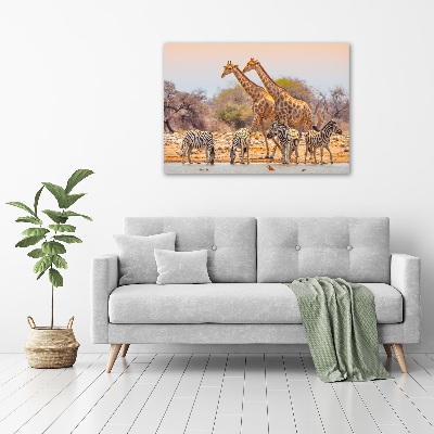 Quadro su vetro acrilico Giraffe e zebre