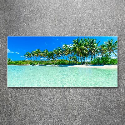 Quadro su vetro acrilico Spiaggia tropicale