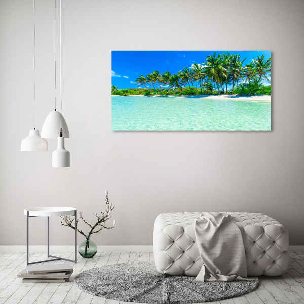 Quadro su vetro acrilico Spiaggia tropicale