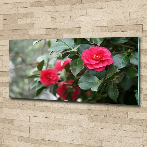 Quadro in vetro acrilico Camelia