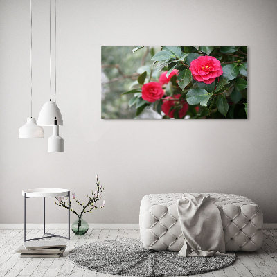 Quadro in vetro acrilico Camelia