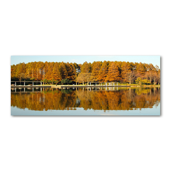 Quadro vetro acrilico Foresta in riva al lago