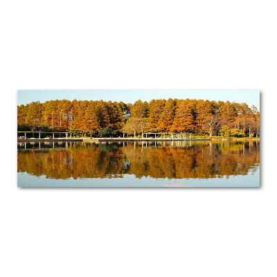 Quadro vetro acrilico Foresta in riva al lago