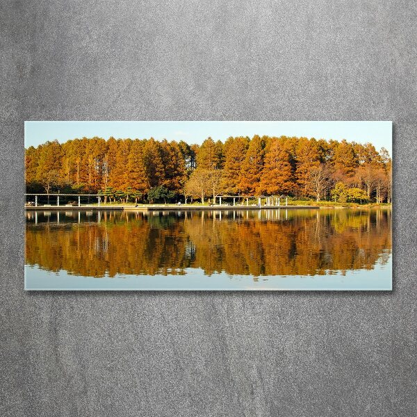 Quadro vetro acrilico Foresta in riva al lago