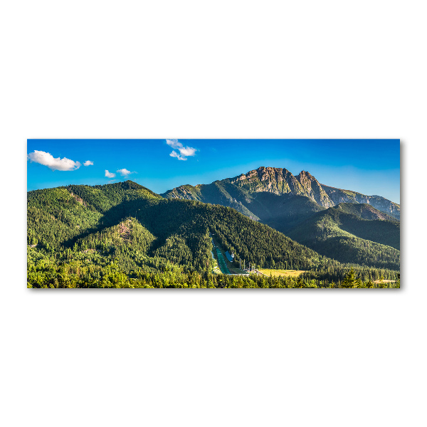 Quadro su vetro acrilico Panorama dei Monti Tatra