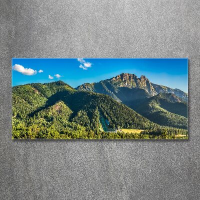 Quadro su vetro acrilico Panorama dei Monti Tatra