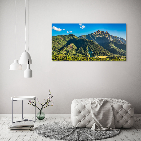 Quadro su vetro acrilico Panorama dei Monti Tatra