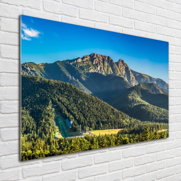 Quadro su vetro acrilico Panorama dei Monti Tatra