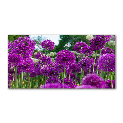 Quadro su vetro acrilico Fiori d'aglio