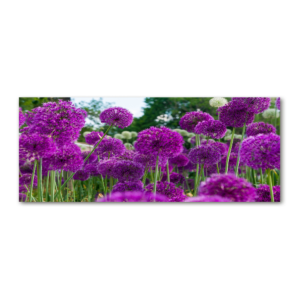 Quadro su vetro acrilico Fiori d'aglio