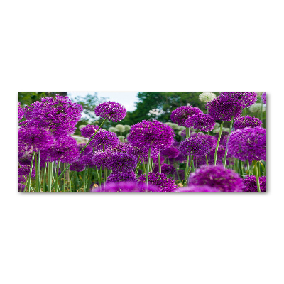 Quadro su vetro acrilico Fiori d'aglio