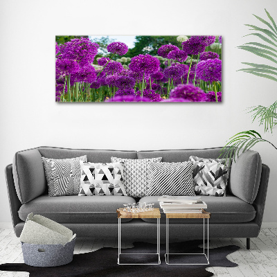 Quadro su vetro acrilico Fiori d'aglio