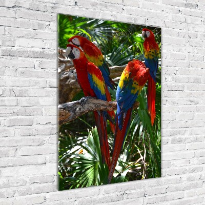 Quadro acrilico verticale Pappagalli ara