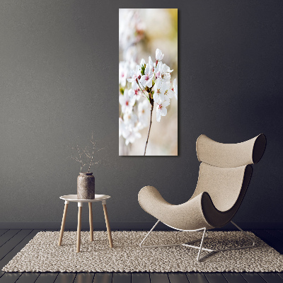 Quadro in vetro acrilico verticale Fiori di ciliegio
