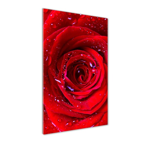 Quadro acrilico verticale Rosa rossa