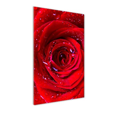 Quadro acrilico verticale Rosa rossa