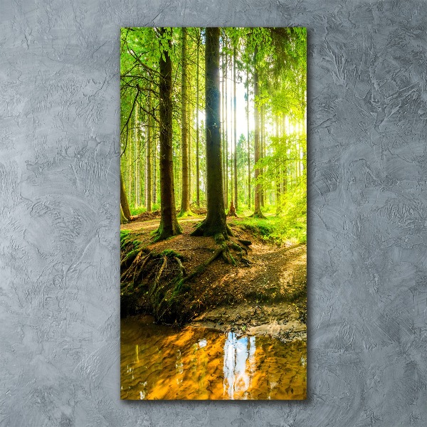 Quadro acrilico verticale Il sole nella foresta