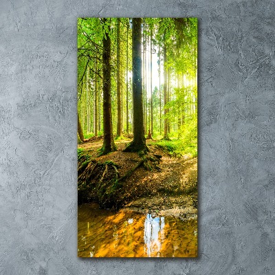 Quadro acrilico verticale Il sole nella foresta