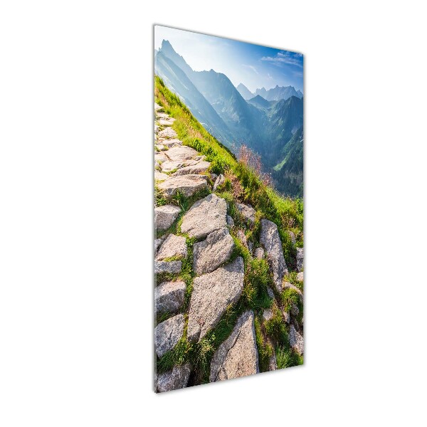 Quadro vetro acrilico verticale Sentiero di montagna