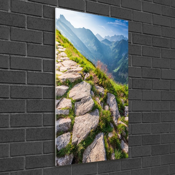 Quadro vetro acrilico verticale Sentiero di montagna
