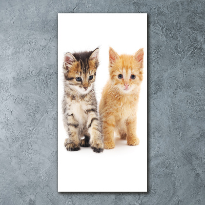 Quadro stampa su vetro acrilico verticale Gatto grigio e rosso
