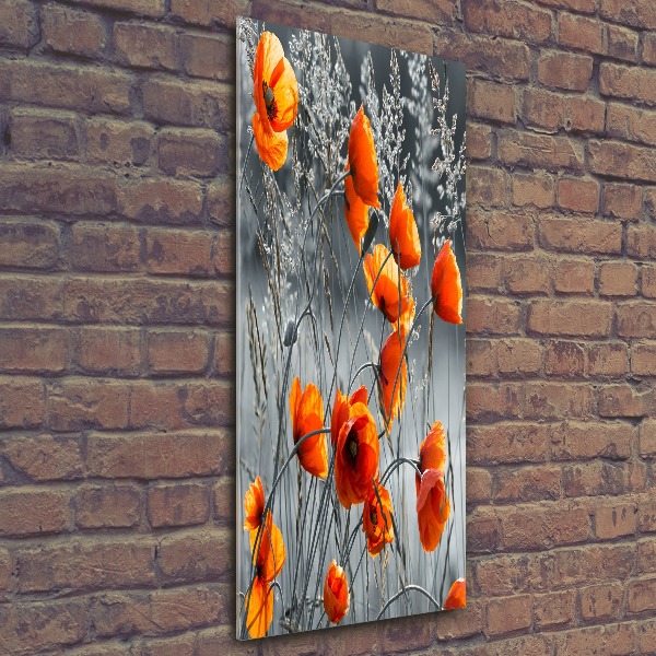 Quadro in vetro acrilico verticale Papaveri di campo