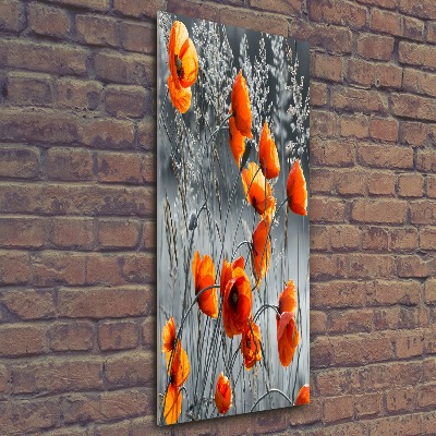 Quadro in vetro acrilico verticale Papaveri di campo