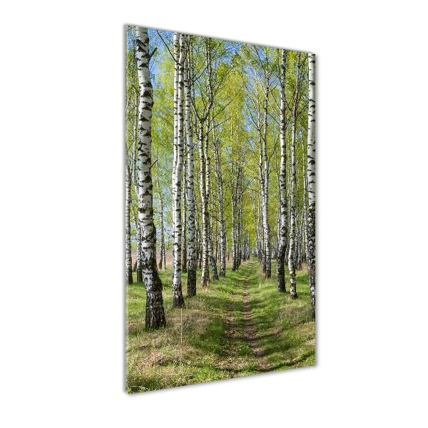 Quadro in vetro acrilico verticale Foresta di betulle