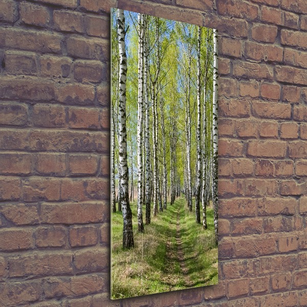 Quadro in vetro acrilico verticale Foresta di betulle