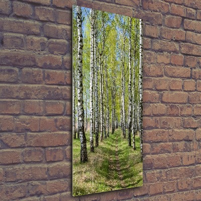 Quadro in vetro acrilico verticale Foresta di betulle