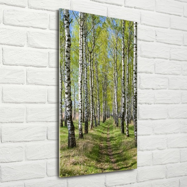 Quadro in vetro acrilico verticale Foresta di betulle