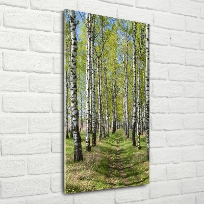 Quadro in vetro acrilico verticale Foresta di betulle