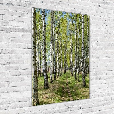 Quadro in vetro acrilico verticale Foresta di betulle
