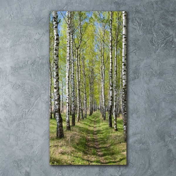 Quadro in vetro acrilico verticale Foresta di betulle