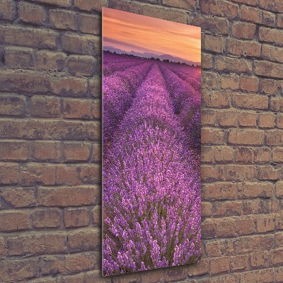 Quadro acrilico verticale Campo di lavanda