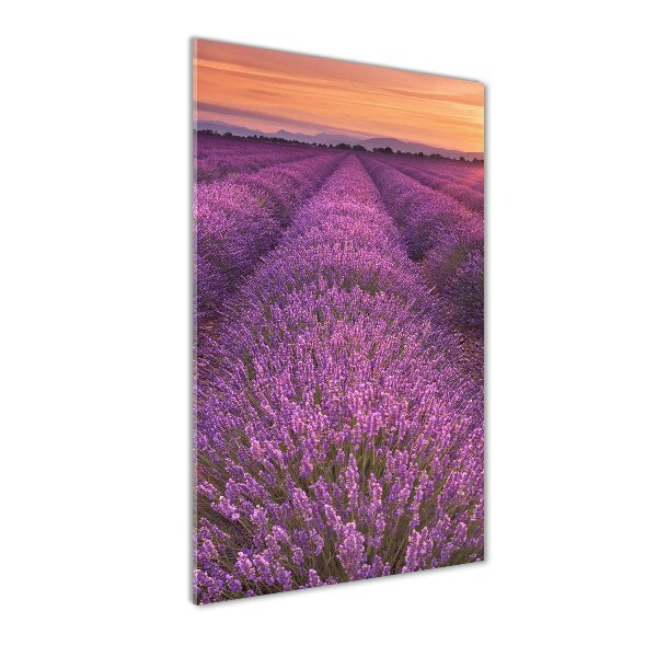 Quadro acrilico verticale Campo di lavanda