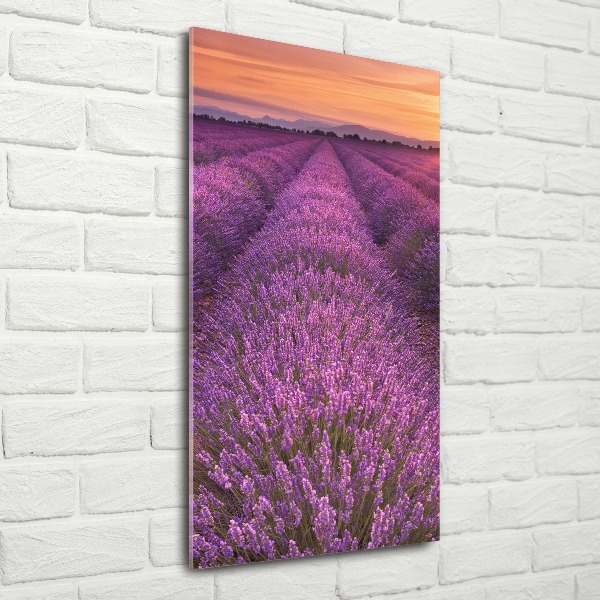 Quadro acrilico verticale Campo di lavanda