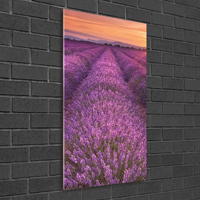 Quadro acrilico verticale Campo di lavanda