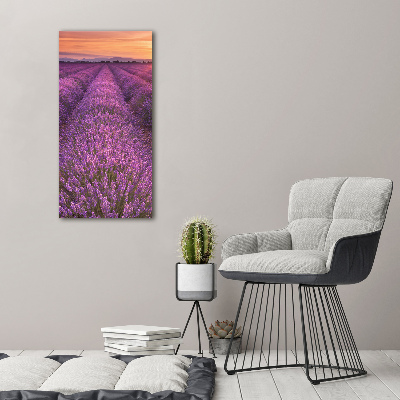 Quadro acrilico verticale Campo di lavanda
