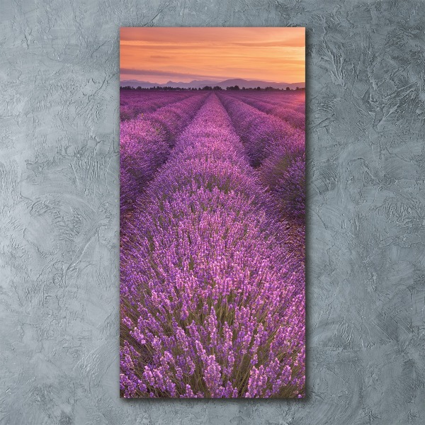 Quadro acrilico verticale Campo di lavanda