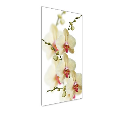 Quadro vetro acrilico verticale Orchidea
