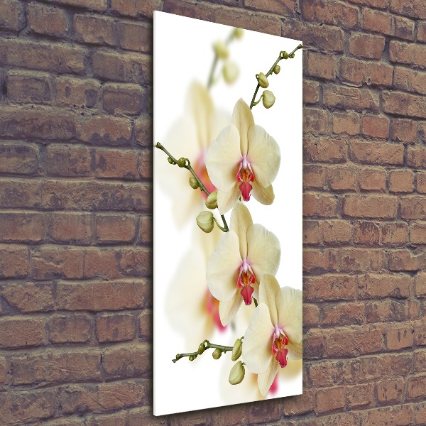 Quadro vetro acrilico verticale Orchidea