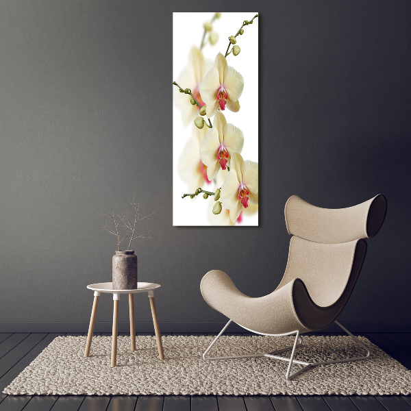 Quadro vetro acrilico verticale Orchidea