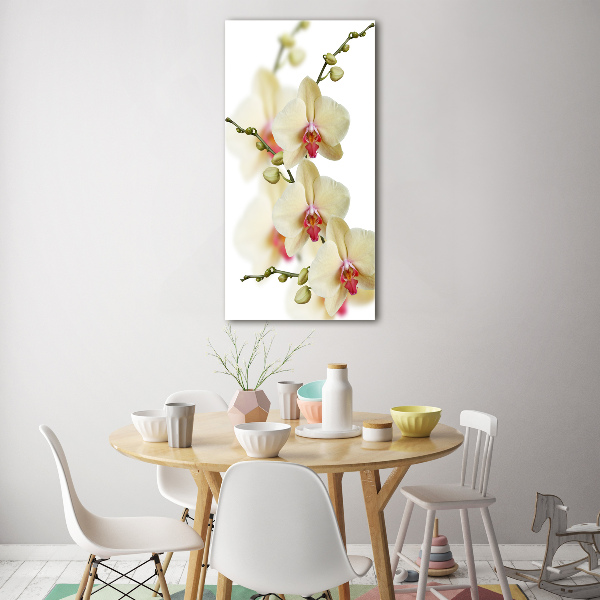 Quadro vetro acrilico verticale Orchidea