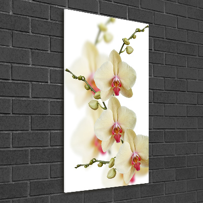 Quadro vetro acrilico verticale Orchidea